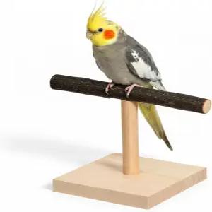 버드 퍼치 스탠드 트레이닝 휴대용 테이블탑 앵무새 잉꼬를 위한 천연 나무 마카티엘 코너링 마코 핀치