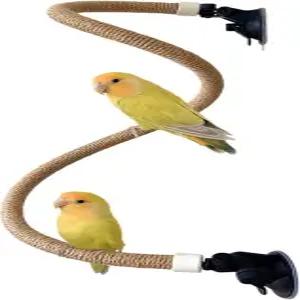 새 창문/목욕탕/자동차/여행 농어용 석션 컵 세트 - 중소형 앵무새 코카티엘 코누어 버디 러브버드에