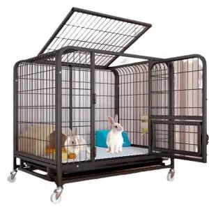 조립식 병아리 사육 공간 검정 가정용