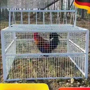 조류 트랩 케이지 포획틀 새장 구조망 대형 야생 철장