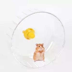 쳇바퀴 소동물운동용품 햄스터 투명 소동물운동용품 쳇바퀴 투명휠바퀴