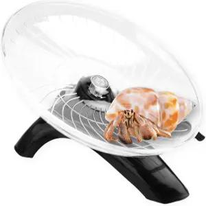 HUYCZ 에르미트 게 등반 및 러닝 휠 장난감 작은 동물 운동 햄스터 거빌 케이지 탱크 액세서리