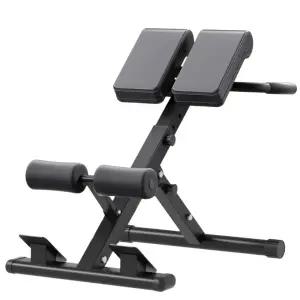 로만 체어 운동 기구 헬스장 허리 백 익스텐션