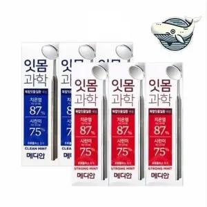 잇몸 건강 치약 시린이 치아 보호