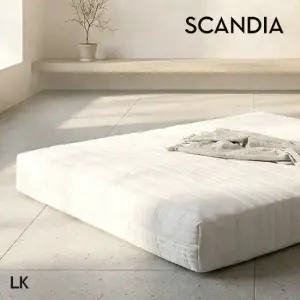 텐셀 독립스프링 매트리스 라지킹)