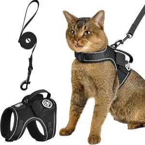 원티그리스 고양이 하네스 및 목줄 - 탈출 방지 소프트 조절 가능한 통기성 편안함 내구성이 뛰어난 방수