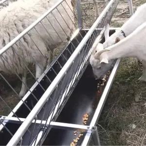 철제 스테인리스 염소 먹이통 축사 밥통 곡물 사료통 여물통