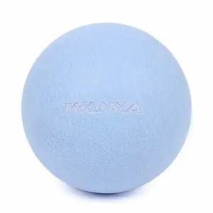 아이워너 블루) 마사지볼 TPE 마사지공 (스카이웨이 tpe마사지볼 마사지도구