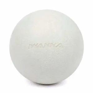 TPE (라이트 마사지볼 마사지도구 tpe마사지볼 마사지공 그레이) 아이워너