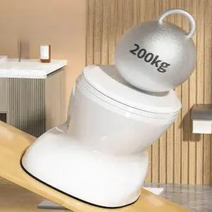 간이 변기 이동식 배변 현장 노인 실내용 화장실 접이식 어르신 수세식