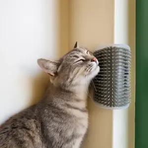 셀프 그루머 고양이 모서리 코너빗