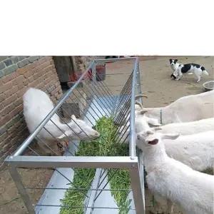 염소먹이통 양 목장 밥통 급여기 사료통 배식통 새끼 축사 먹이