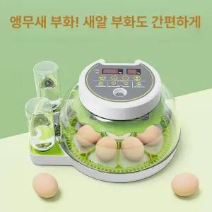 워리픽 병아리부하기 부화기 닭부화기 메추리 유정란