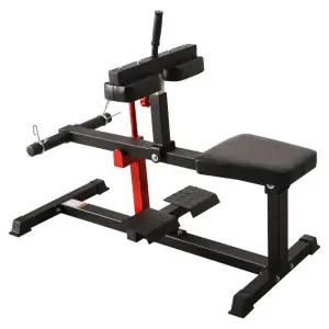 헬스장 운동기구 종아리 카프레이즈 장비 시티드