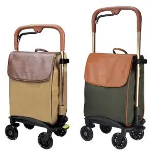 성인용 가방 보행 보조 수납 구루마 할머니 트롤리 보조기 외출 수레 캐리어