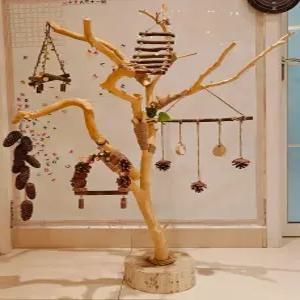 앵무새 횃대 새 스탠드 놀이터 훈련용 새집 가정용 철제