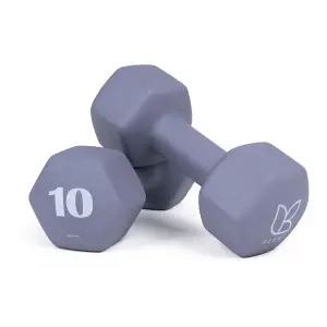 [아리프] 선인장 미용 아령 여자 홈트 덤벨 10kg, 2개, 모브 그레이