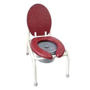 현대의료 이동식 HD-CC-002 의자형 좌변기 화장실 D 스틸재질 간이화장실