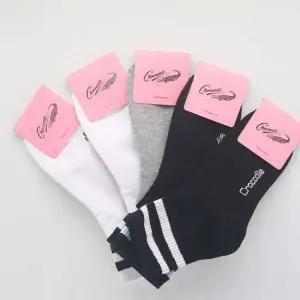 크로커다일 여자 중목양말 링글 10켤레 단목양말