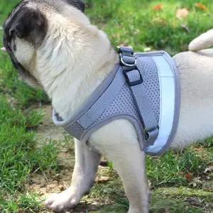 애견 강아지 반려견 리드줄 몸줄 가슴줄 하네스 산책 강아지조끼