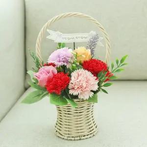 VCO 비너스 카네이션 바구니