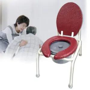 ( )현대의료산업 의자형 미니 좌변기 HD CC 002