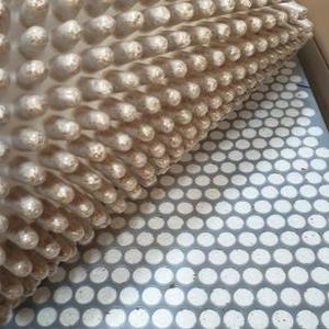 느타리버섯종균  /성형 606구/최신배양종균