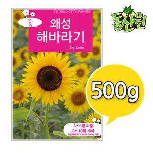대용량 꽃씨 500g 1kg 왜성해바라기씨앗 키작은 해바라기 종자