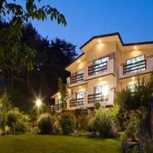 [강원 펜션] 양양 덴버하우스펜션 (양양(서피비치,낙산))