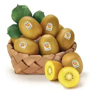 [농협6번] 뉴질랜드제스프리 골드키위 5.6kg 과수선택