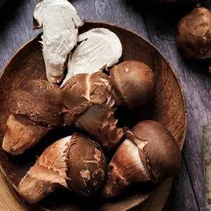 [명가일품]향이깊은 나주 참송이버섯 1kg (상/못난이 랜덤)