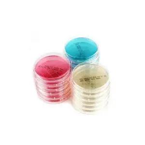 세균배양배지 (일반세균)