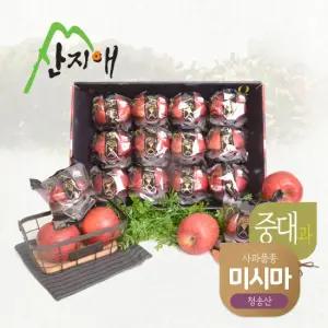 산지애 블랙라벨 사과 3kg (11~12과)