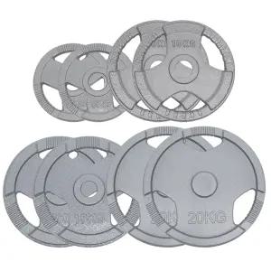 이고진 클럽용 주물 바벨 원판 100kg 모음 웨이트 역기 헬스