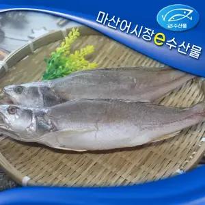 e수산물 반건조 민어조기 2마리 맛있는 민어조기 중 2마리 28cm 마른생선 제수용 말린생선