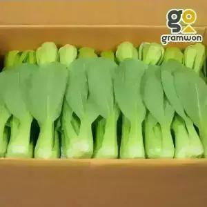 청경채 4kg 마라탕 샤브샤브 편백찜 국내산