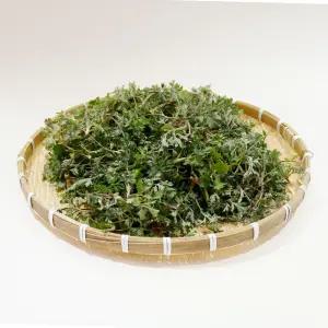 여수 거문도 쑥 500g 1kg 해풍맞은 첫물 노지쑥 생쑥 봄나물