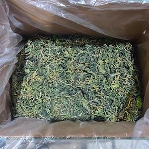 수입사 건곤드레 나물 10kg 산나물 마른 말린 건 곤드레 보름 벌크 업소용