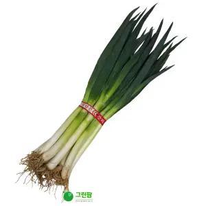 대파 1단 (약1kg)