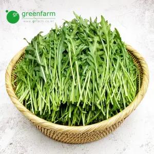 와일드루꼴라 1kg