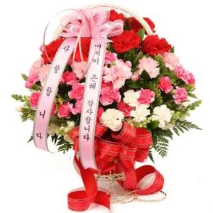 카네이션 꽃바구니 / 카네이션꽃 어버이날 선물/ 스승의날 꽃배달 천사난플라워 / 전국당일 무료배달