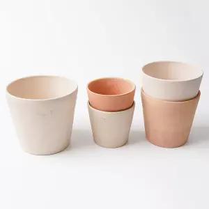 갑조네 앙비까사 베트남 빈 토분