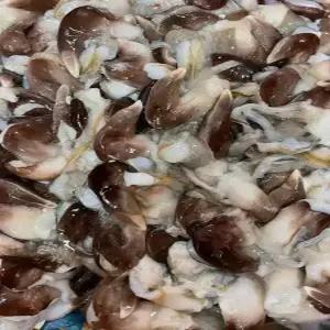 국내산 여수 손질 새조개 200g 10미 내외 당일조업 순살 샤브샤브 제철 별미