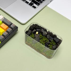 바람계곡의 속삭임 테라리움 만들기 키트 생태계 학습