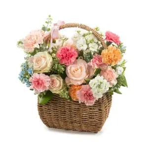 카네이션꽃바구니 장미 대형 생화 생일 축하 배달 택배