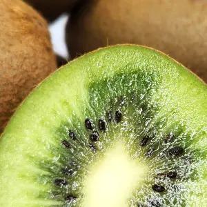 유로 그린키위 대과 3kg (23-30과 내외)