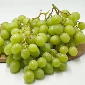 어텀크리스피 씨없는 애플 청포도 1팩당800g 3팩