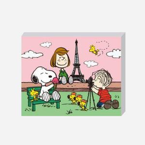 DIY 보석십자수 피너츠 SAY CHESSE 40x50cm