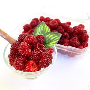 새콤달콤한 급냉 국내산 산딸기 500G 2팩