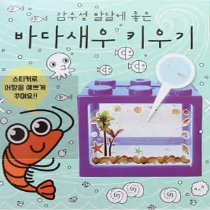 바다새우키우기 꼬마새우기르기 미니수족관 씨몽키 낱개-1개 랜덤발송